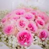 ช่อดอกไม้ Radiant Roses ร้านดอกไม้ Blooming Posies BKK